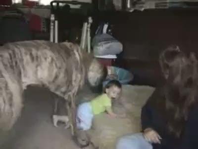 kopekle bebek oyun oynuor