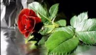 video Gloria Gaynor - I Love You Baby