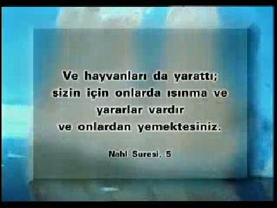Eskimolar