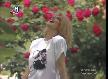 Arkada�-Ne�e Karab�cek