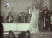 At Kadehi Elinden-Ne�e Karab�cek